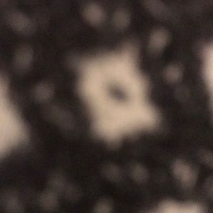 Meet your Posher, Jody